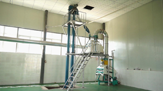 四川德昌核桃，菜籽，茶籽綜合加工生產(chǎn)線(xiàn)