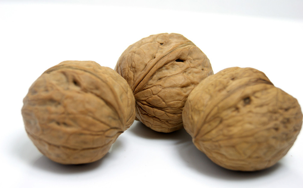 企鵝核桃榨油機——加速中國制造向中國創(chuàng)造的轉(zhuǎn)變