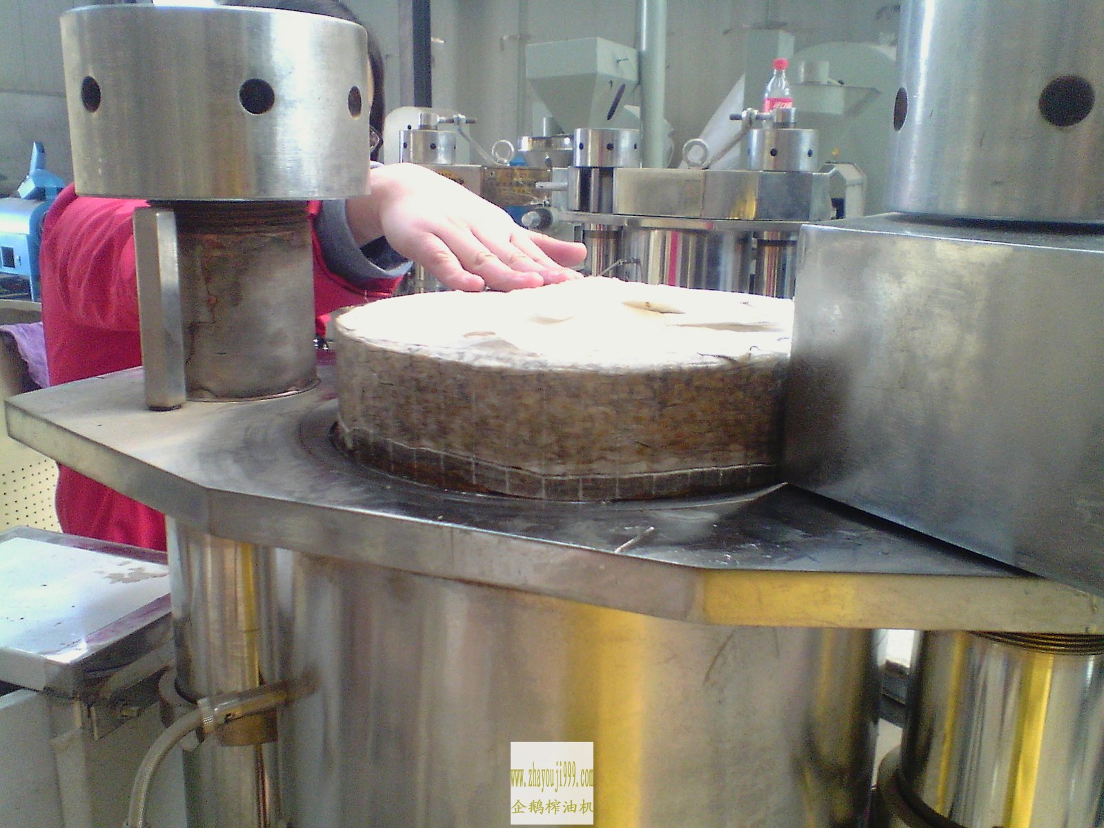 液壓榨油機(jī)壓榨完成后的松籽餅展示