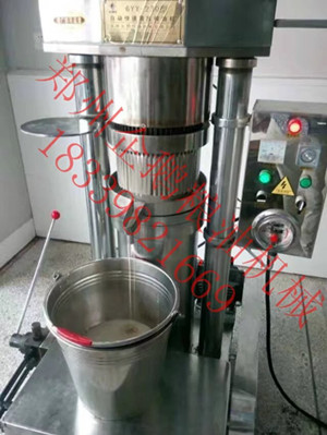想創(chuàng)業(yè)來企鵝，企鵝專業(yè)的榨油機廠家(圖1)