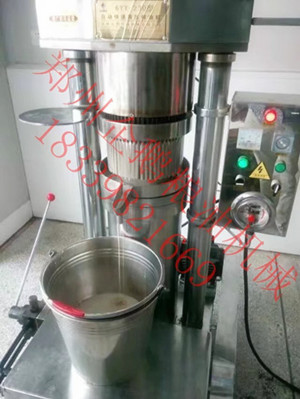 想開小油坊？卻不知道怎么選榨油機(jī)設(shè)備(圖1)