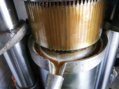 一般壓榨的大豆油保質(zhì)期是多長時間(圖1)