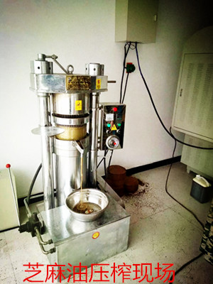 新開了家榨油坊，新的榨油機(jī)怎么操作？(圖1)